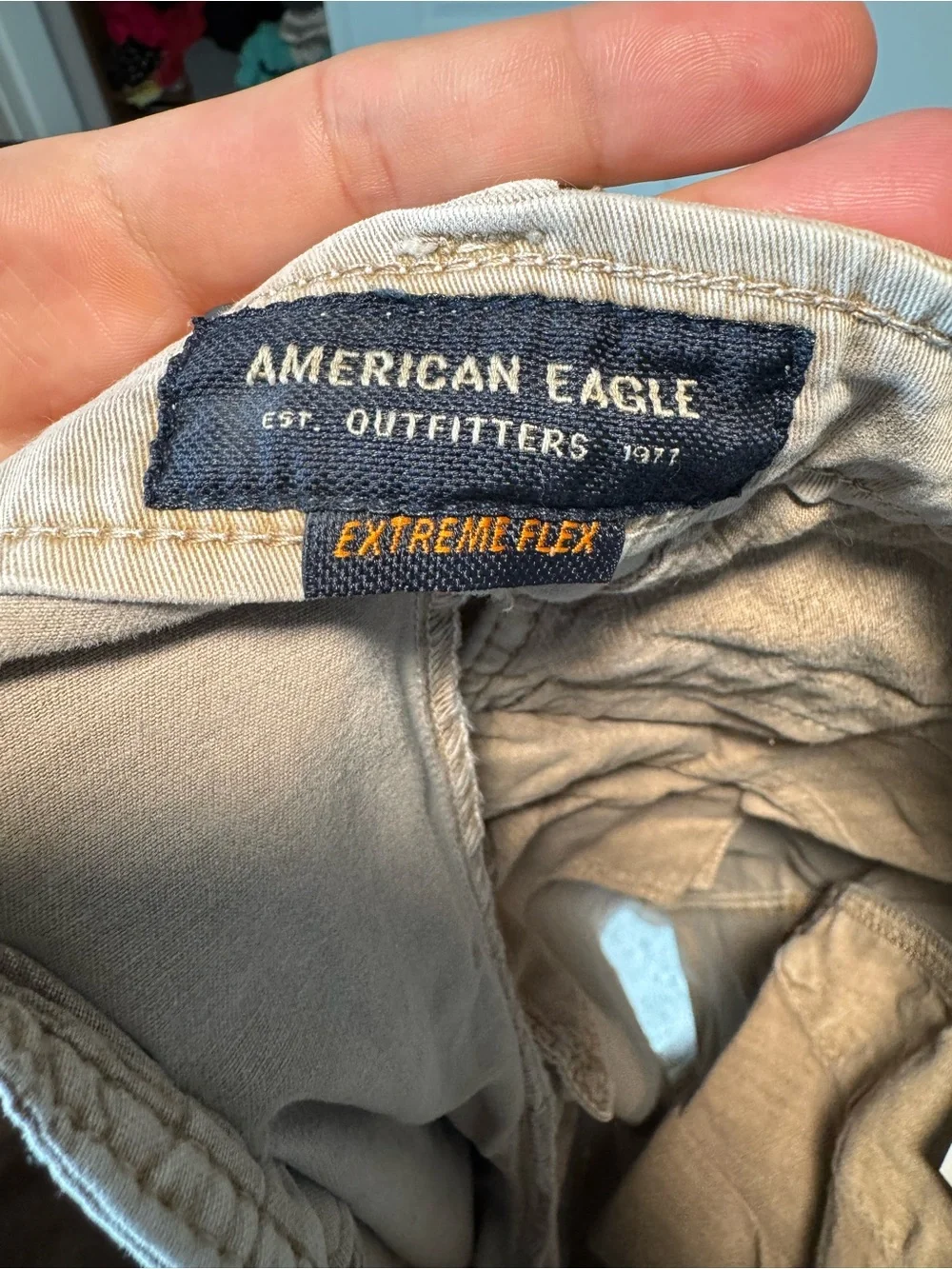 American Eagle Outfitters Men's Flat Front Shorts in Taupe